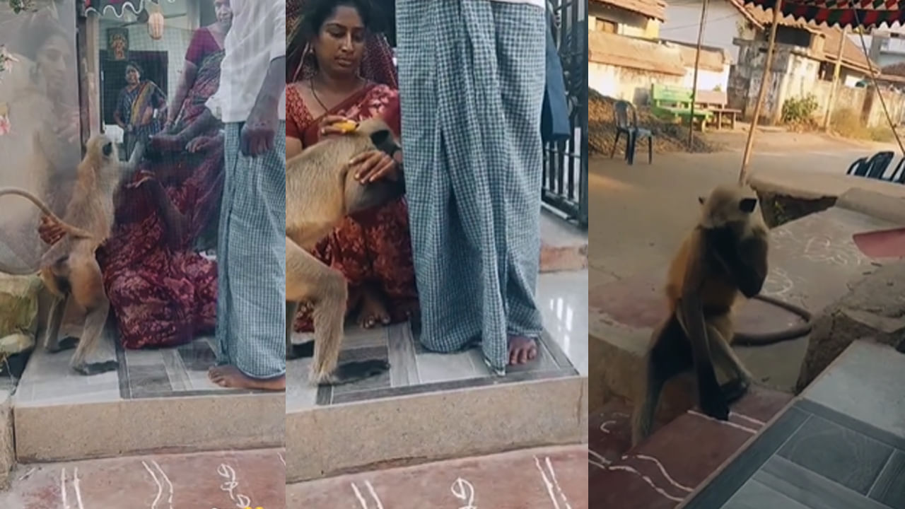 Andhra News: కొడుకును కోల్పోయి పుట్టెడు దు:ఖంలో ఉన్న తల్లిని ఓదార్చిన కొండముచ్చు