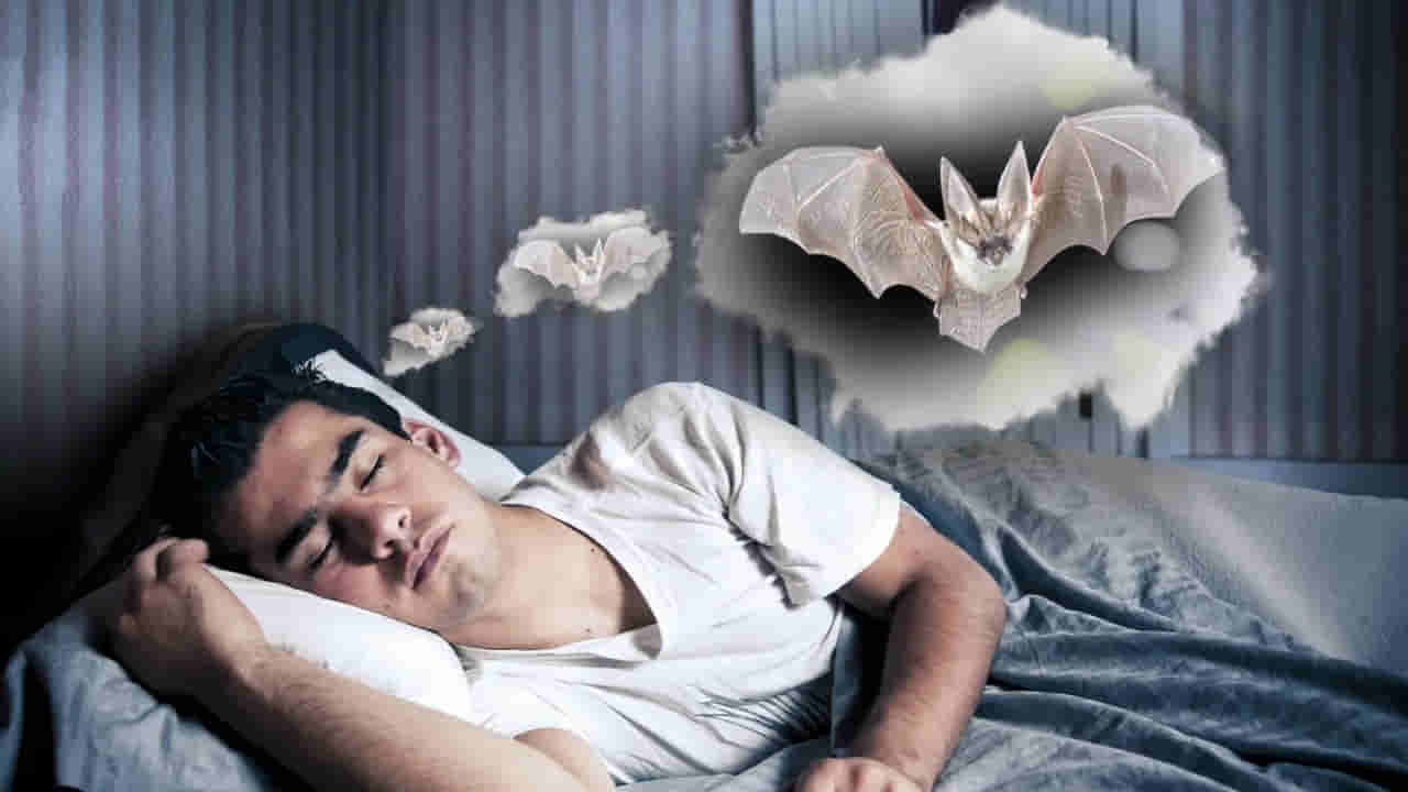 Bats in Dreams: కలలో గబ్బిలాలు కనిపిస్తున్నాయా... జాగ్రత్త సుమా.. ఎంత అశుభమో తెలుసా..