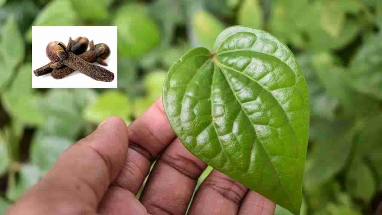 తమలపాకుతో లవంగాలు కలిపి తింటే ఎన్ని లాభాలో తెలుసా..? ఆ భయంకరమైన రోగాలకు చెక్ పెట్టొచ్చు..