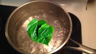 రోజూ బెల్లం తింటే కలిగే అద్భుతమైన ఆరోగ్య ప్రయోజనాలు మీకు తెలుసా..? మీరు తప్పక తెలుసుకోవాల్సిన విషయాలు..!