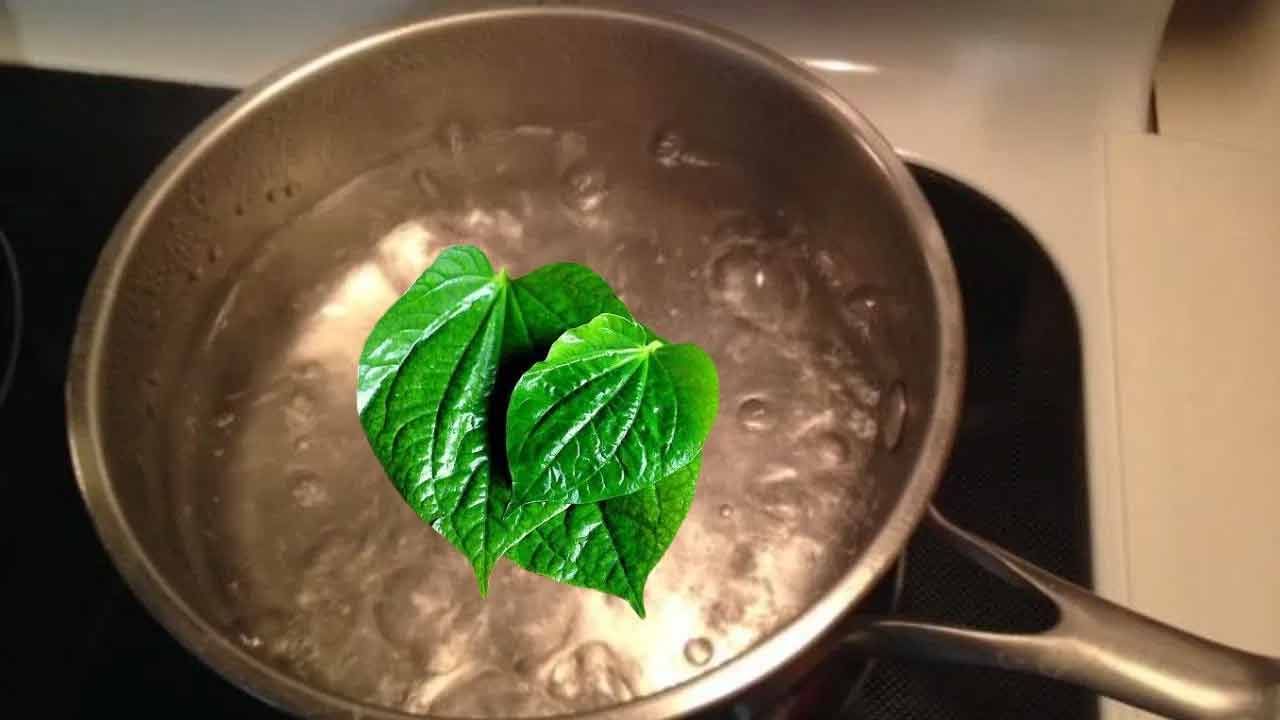 ఆయుర్వేదంలో తమలపాకుకు విశిష్ట స్థానం ఉంది. వీటిలోని ఔషధ గుణాలు అనేక ఆరోగ్య ప్రయోజనాలు కలిగిస్తాయని ఆయుర్వేద ఆరోగ్య నిపుణులు అంటున్నారు. ఈ ఆకులలో విటమిన్ సి, థయామిన్, నియాసిన్, రిబోఫ్లేవిన్, కెరోటిన్, కాల్షియం వంటి పోషకాలు పుష్కలంగా ఉంటాయి. 