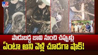 Srisailam: శ్రీశైలంలో వైభవంగా బంగారు రథంపై విహరించిన ఆదిదంపతులు