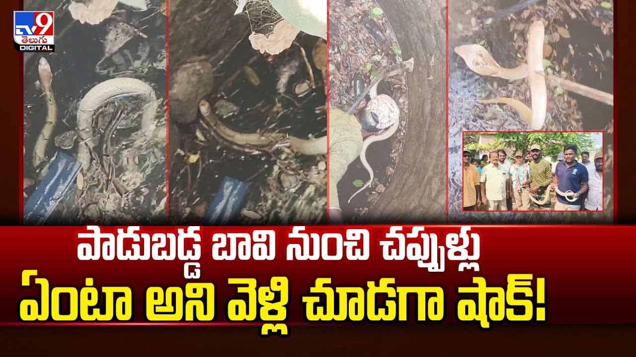 బావి నుంచి చప్పుళ్లు.. ఏంటా అని వెళ్లి చూస్తే షాక్ వీడియో