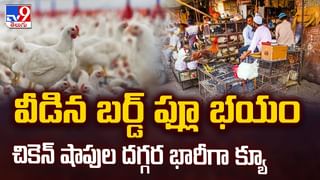 తల్లిదండ్రులకు అలర్ట్.. పిల్లల్లో పెరుగుతున్న ఊబకాయం.. కారణం ఇదే