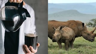 Scorpion Venom: అది విషం కాదు.. దివ్యౌషధం.. లీటర్ ధరెంతో తెలిస్తే మైండ్ బ్లాంకే..