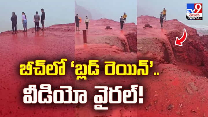 బీచ్లో ‘బ్లడ్ రెయిన్’.. వీడియో వైరల్ బీచ్లో ‘బ్లడ్ రెయిన్’.. వీడియో వైరల్
