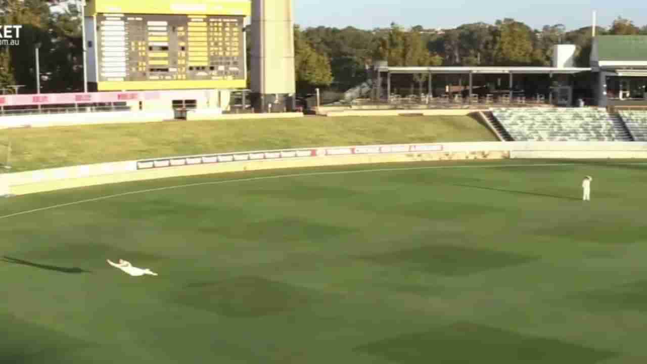 Video: ఎవరు భయ్యా నువ్వు.. ఒంటి చేత్తో గాల్లోకి ఎగిరి డేంజరస్ క్యాచ్‌.. గూస్ బంప్స్ తెప్పించే వీడియో