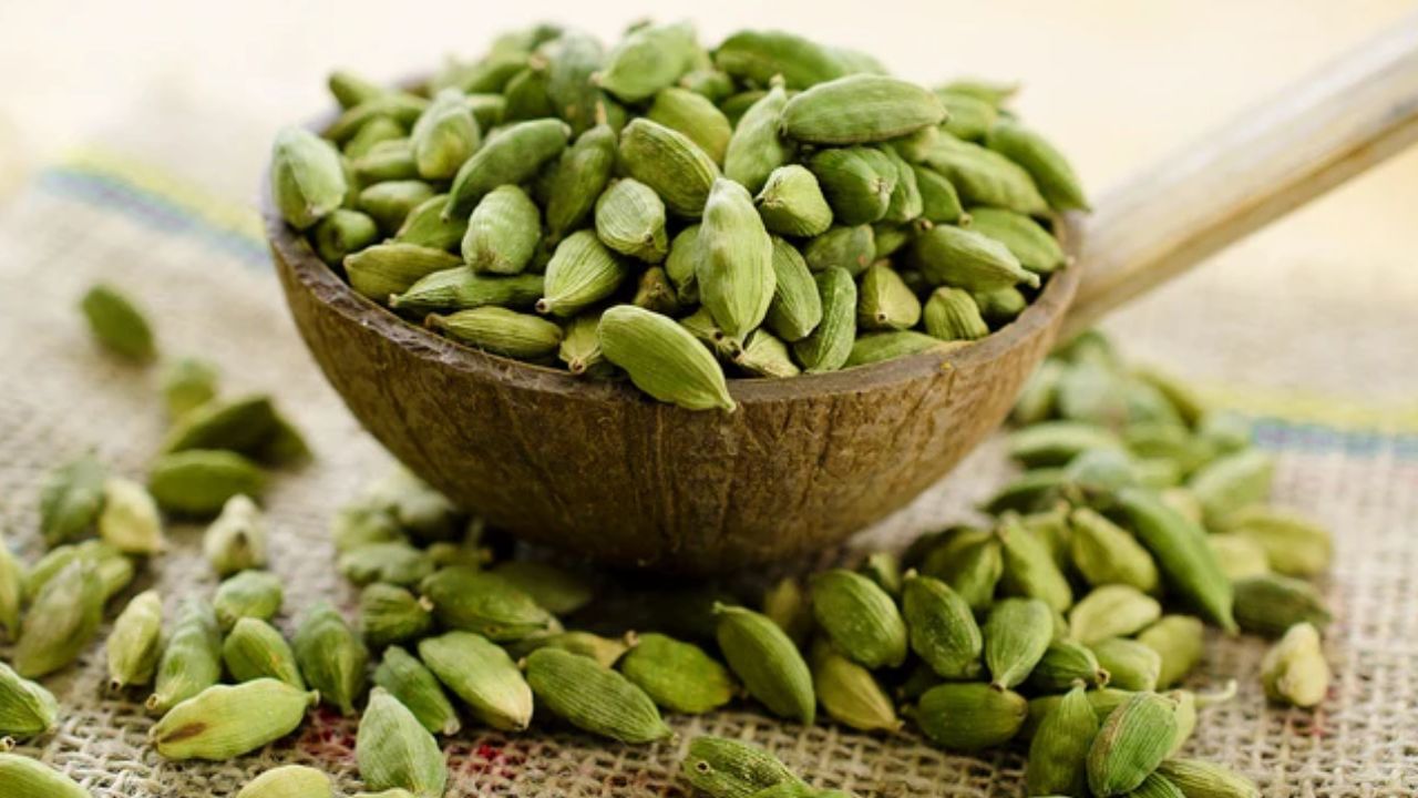 Cardamom Health Benefits: యాలకులను రోజూ తీసుకుంటే ఎన్ని ఆరోగ్య ప్రయోజనాలో తెలుసా..?