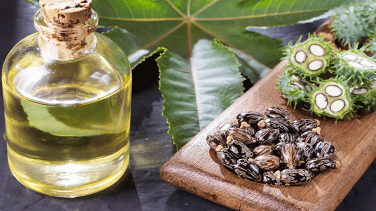 భారతదేశంలో పొదల్లాగా పెరుగే ఆముదం చెట్లను సులభంగా చూడవచ్చు. తరచుగా ఆముదం ఆకులను గాయాలకు.. వాటి వల్ల కలిగే నొప్పి, వాపు నుంచి ఉపశమనం పొందేదానికి ఉపయోగిస్తారు. అయితే ఆముదం విత్తనాలను నూనె తయారు చేయడానికి ఉపయోగిస్తారు. ఆముదం నూనెలో సమృద్ధిగా రకరకాల పోషకాలు ఉన్నాయి. చాలా ప్రభావవంతంగా పని చేస్తుంది. ఈ నూనెను చాలా కాలంగా చర్మ సమస్యలతో పాటు ఆరోగ్య సంబంధిత సమస్యలకు ఉపయోగిస్తున్నారు. ఆముదం నూనెను అనేక ఉత్పత్తులలో కూడా ఉపయోగిస్తారు. ఆముదంలో అనేక లక్షణాలున్నాయని ఆయుర్వేద వైద్యం పేర్కొంది. 
