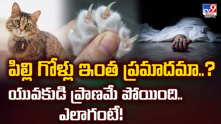పిల్లి గోళ్లు ఇంత ప్రమాదమా..? యువకుడి ప్రాణమే పోయింది.. ఎలాగంటే పిల్లి గోళ్లు ఇంత ప్రమాదమా..? యువకుడి ప్రాణమే పోయింది.. ఎలాగంటే