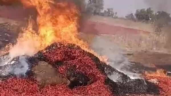 కల్లంలో కాలిబూడిదైన మిర్చి.. పోలీసుల విచారణలో వెలుగులోకి సంచలనాలు..!