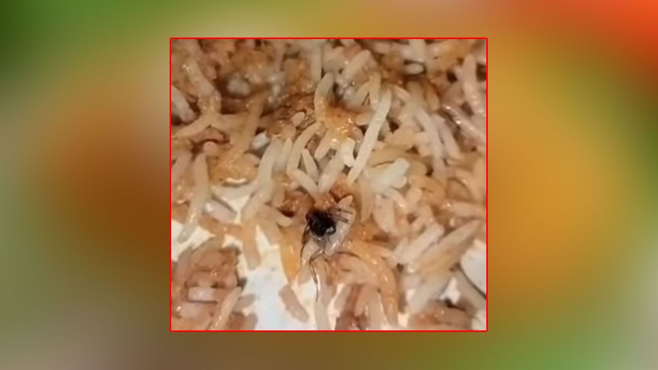 Cockroach Found In Chicken 