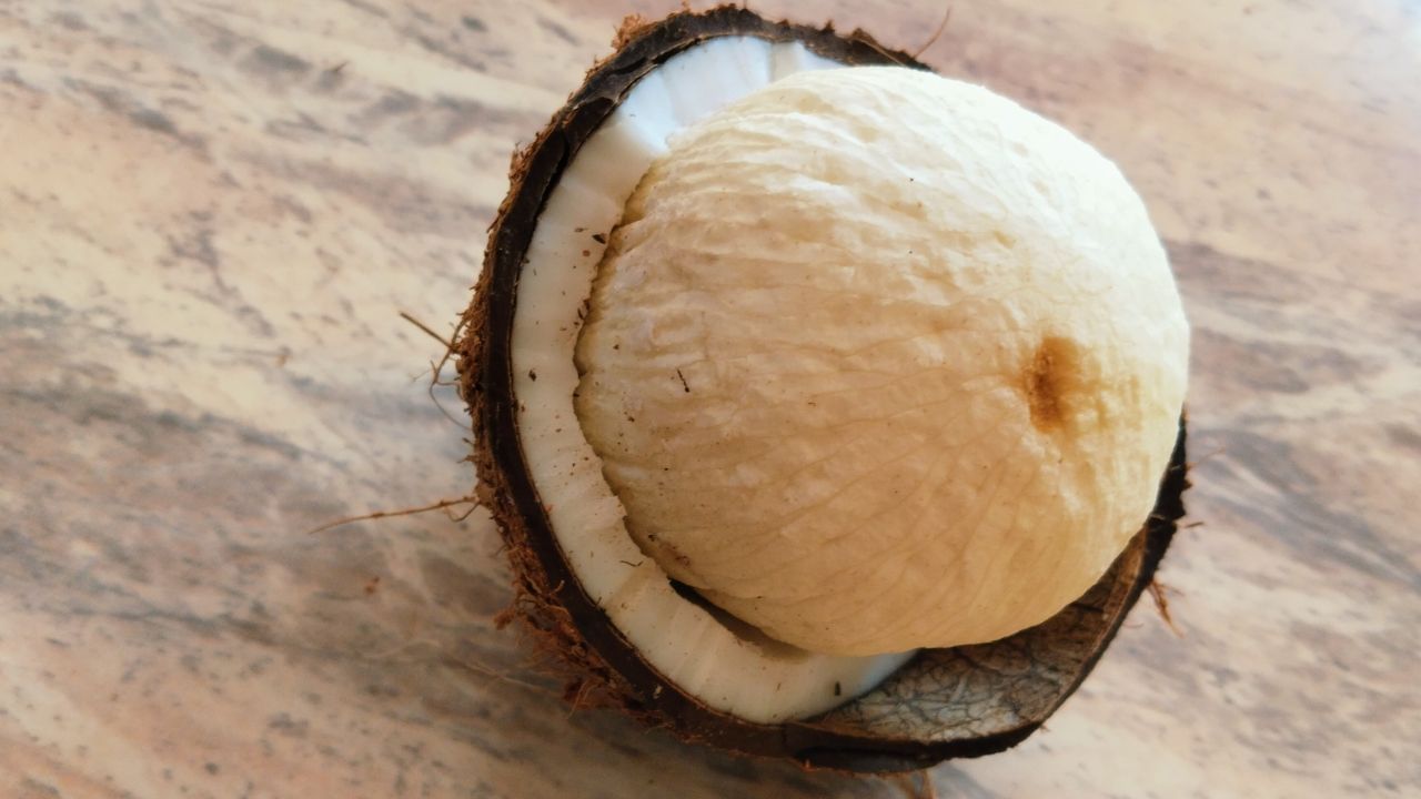 కొబ్బరి పువ్వుతో ఎన్ని ఆరోగ్య ప్రయోజనాలో తెలుసా..? మీకు దొరికితే తినడం అస్సలు మిస్సవ్వద్దు..!