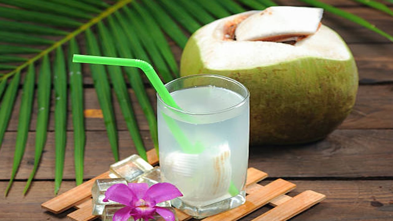 Coconut Water: వృద్ధులు రోజూ కొబ్బరి నీరు తాగుతున్నారా.. తస్మాత్ జాగ్రత్త.. ఎన్ని సమస్యలకు వెల్కం చెబుతున్నారో తెలుసా..