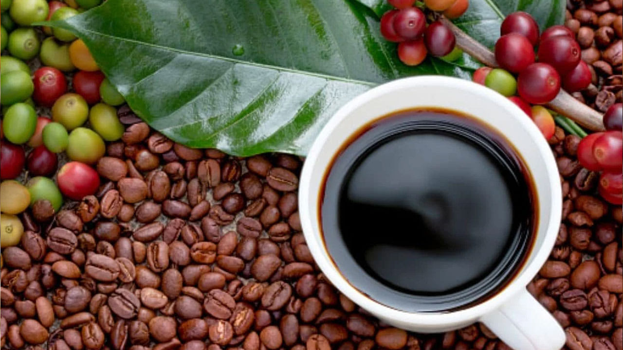 కాఫీ తాగిన వెంటనే నీరు తాగాలనిపించడానికి ముఖ్య కారణం టేస్ట్ బడ్స్ మారడం అంటున్నారు వైద్యులు. నాలుక మీద ఉండే టేస్ట్ బడ్స్ మారడం వలన చాలా మందికి కాఫీ తాగిన  వెంటనే నీరు తాగాలనిపిస్తుందంట.