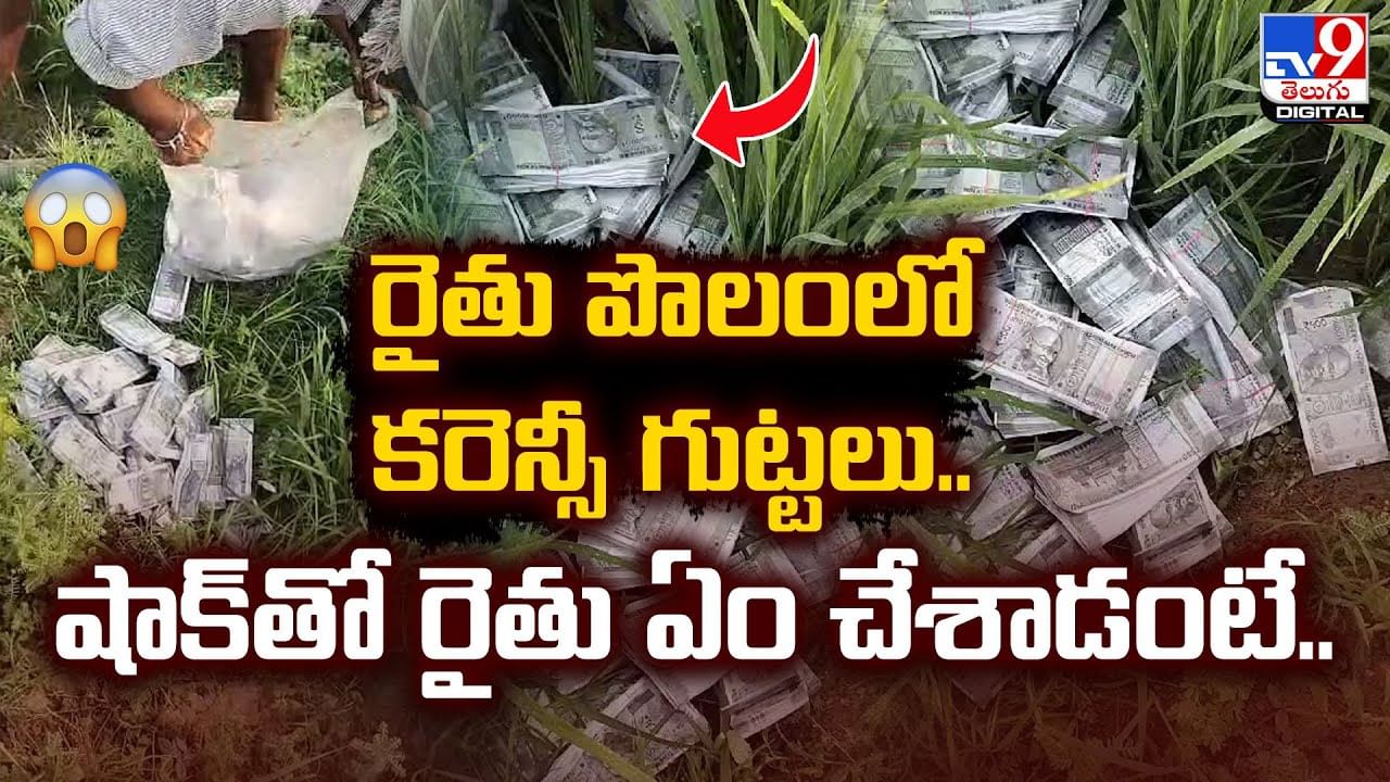 రైతు పొలంలో కరెన్సీ గుట్టలు..షాక్‌తో రైతు ఏం చేశాడంటే..