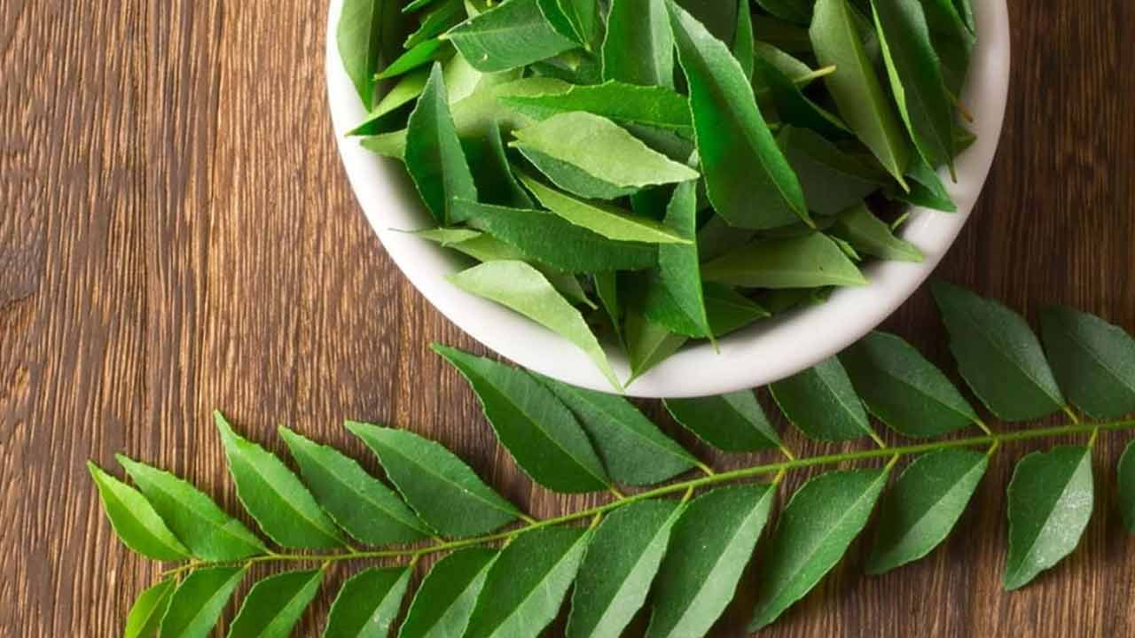బరువు తగ్గడానికి, జీర్ణక్రియ బాగా ఉండటం చాలా ముఖ్యం. అటువంటి పరిస్థితిలో, కరివేపాకు మీ జీర్ణక్రియను మెరుగుపరచడం ద్వారా బరువు తగ్గడానికి సహాయపడుతుంది. ముఖ్యంగా పొట్ట చుట్టూ పేరుకుపోయిన కొవ్వును తగ్గించడంలో సహాయపడుతుంది. దీంతో గుండె సంబంధ సమస్యలు తగ్గి హార్ట్ హెల్త్ బాగుంటుంది. 