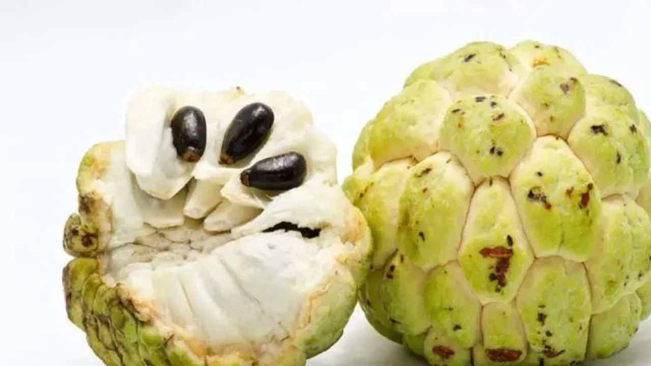 Custard Apple 4