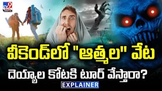 పిల్లి గోళ్లు ఇంత ప్రమాదమా..? యువకుడి ప్రాణమే పోయింది.. ఎలాగంటే