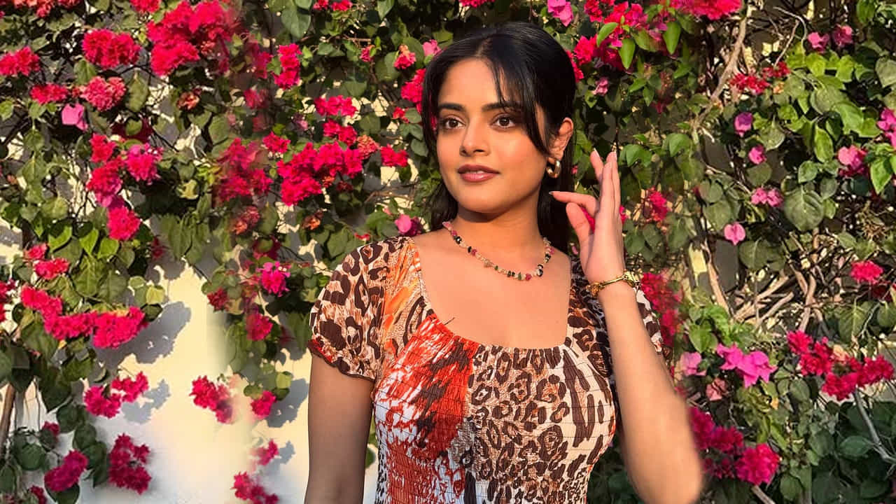 రాధేశ్యామ్ సినిమాలో ఒక చిన్న పాత్రలు తళుక్కున మెరిసింది ఈ ముద్దుగుమ్మ. ఇందులో అర్చరీ ప్లేయర్ గా కనిపించింది. ఇక ఇప్పటివరకు మరో తెలుగు సినిమా చేయలేదు. ఈ బ్యూటికి అనుకున్నంతగా అవకాశాలు కూడా టాలీవుడ్ లో రావడం లేదు.