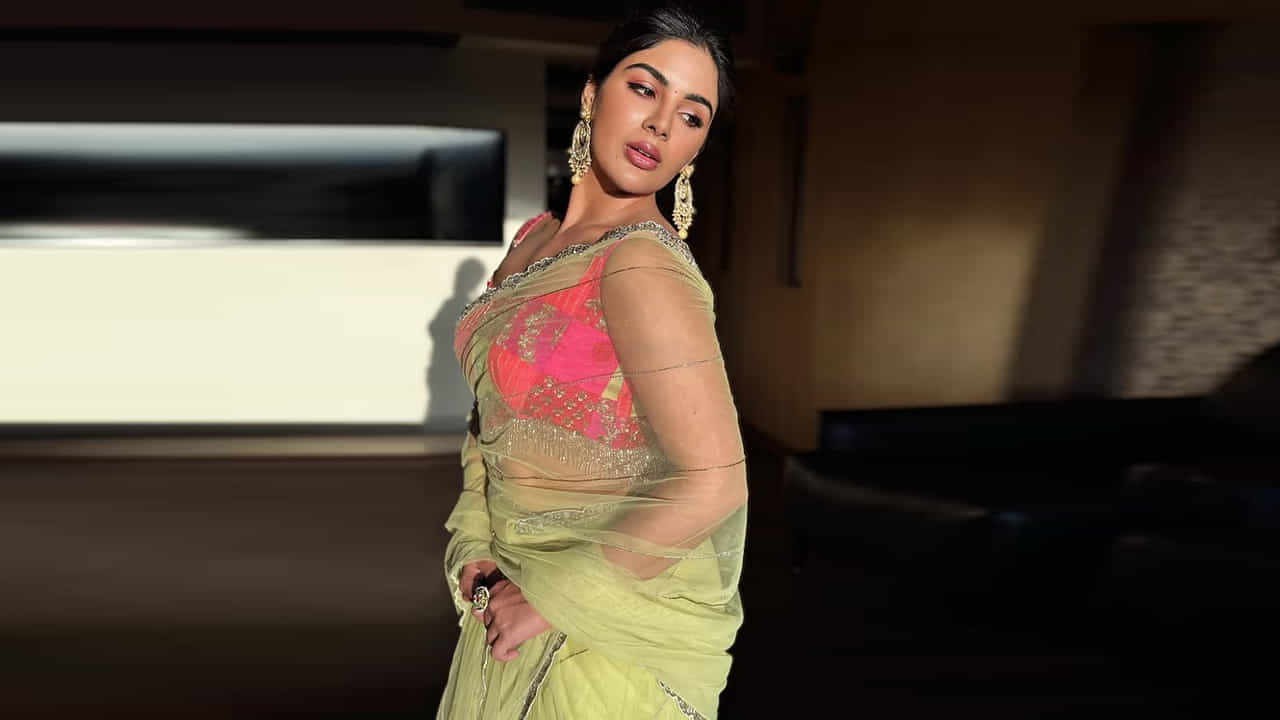 తర్వాత సార్ సినిమాతో తెలుగులో మరో బ్లాక్ బస్టర్ అందుకుంది. ఇందులో ధనుష్ తో జోడిగా కనిపిచింది. తర్వాత సాయి ధరమ్ తేజ్ సరసన నటించిన విరూపాక్ష సినిమాతో నటవిశ్యరూపం చూపించి ప్రేక్షకులను భయపెట్టింది.