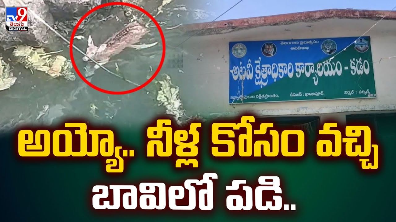 అయ్యో.. నీళ్ల కోసం వచ్చి బావిలో పడి.. చివరికి?