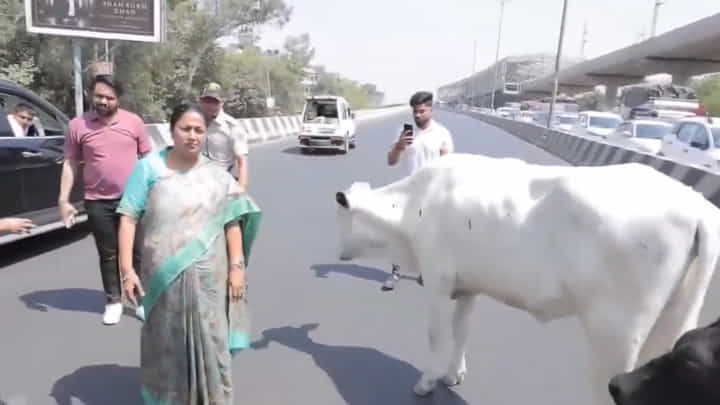 Watch: ఫ్లై ఓవర్పై సడన్గా కాన్వాయ్ ఆపిన ఢిల్లీ సీఎం..! Watch: ఫ్లై ఓవర్పై సడన్గా కాన్వాయ్ ఆపిన ఢిల్లీ సీఎం..!