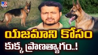 పెళ్లయిన నెలరోజులకే భర్తపై విషప్రయోగం..చివరికి  వీడియో