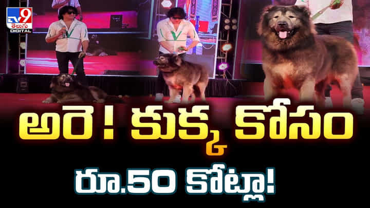 అరె ! కుక్క కోసం రూ.50 కోట్లా వీడియో అరె ! కుక్క కోసం రూ.50 కోట్లా వీడియో