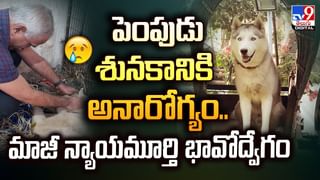 పెళ్లి పీటలపై ఆగిపోయిన వివాహం.. వరుడి నిర్వాకం తెలిసి షాక్‌!వీడియో