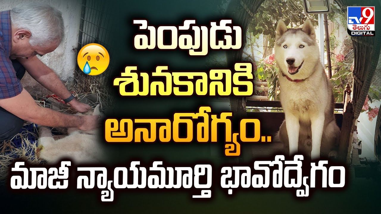 పెంపుడు శునకానికి అనారోగ్యం..మాజీ న్యాయమూర్తి భావోద్వేగం