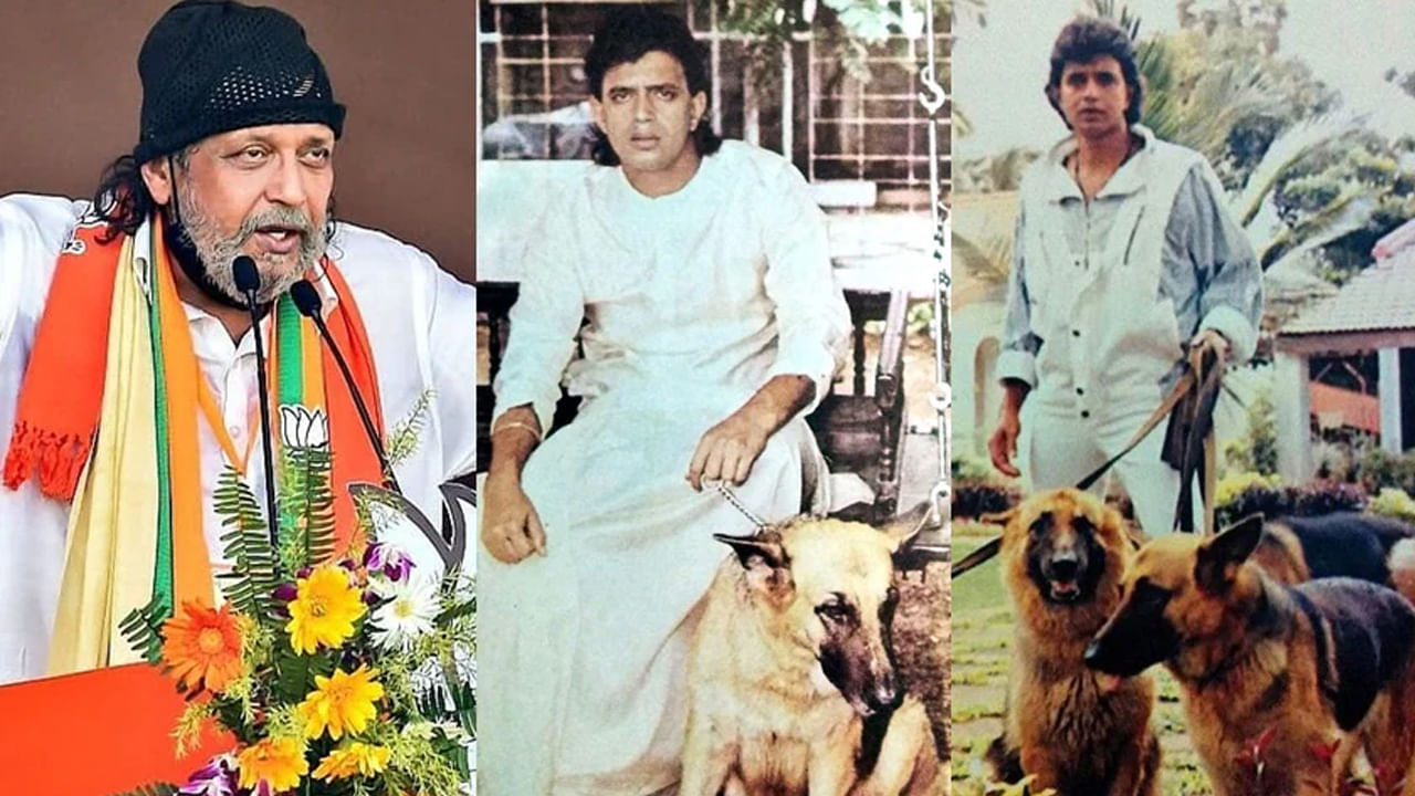 ఈ హీరో దాదాపు తన కుక్కలు కోసం ప్రత్యేకంగా 45 కోట్ల ఆస్తిని కే టాయించాడంట. ఇది  సపరేట్‌గా వాటికోసమే కేటాయించడం అందరినీ ఆశ్చర్యానికి గురిచేస్తుంది. వీటి కోసం స్పెషల్ గదులు కట్టించి వాటికి సంరక్షణ ఇస్తున్నాడంట .