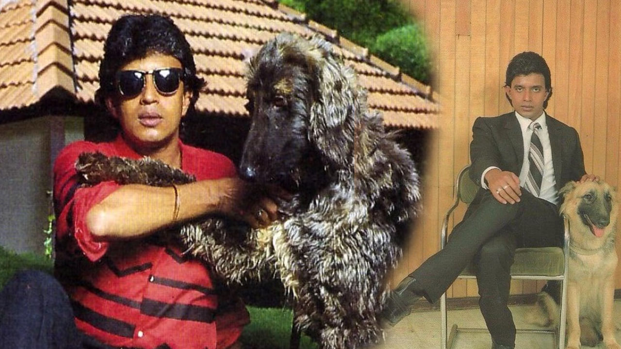 అంతే కాకుండా కుక్కలు చిన్న పిల్లలానే,  వీటిని చాలా జాగ్రత్తగా చూసుకోవాలని చెబుతాడంట.  తన పెంపుడు కుక్కలను కంటికి రెప్పలా చూసుకుంటాడంట. ప్రస్తుతం ఈ న్యూస్ నెట్టింట తెగ వైరల్ అవుతోంది.