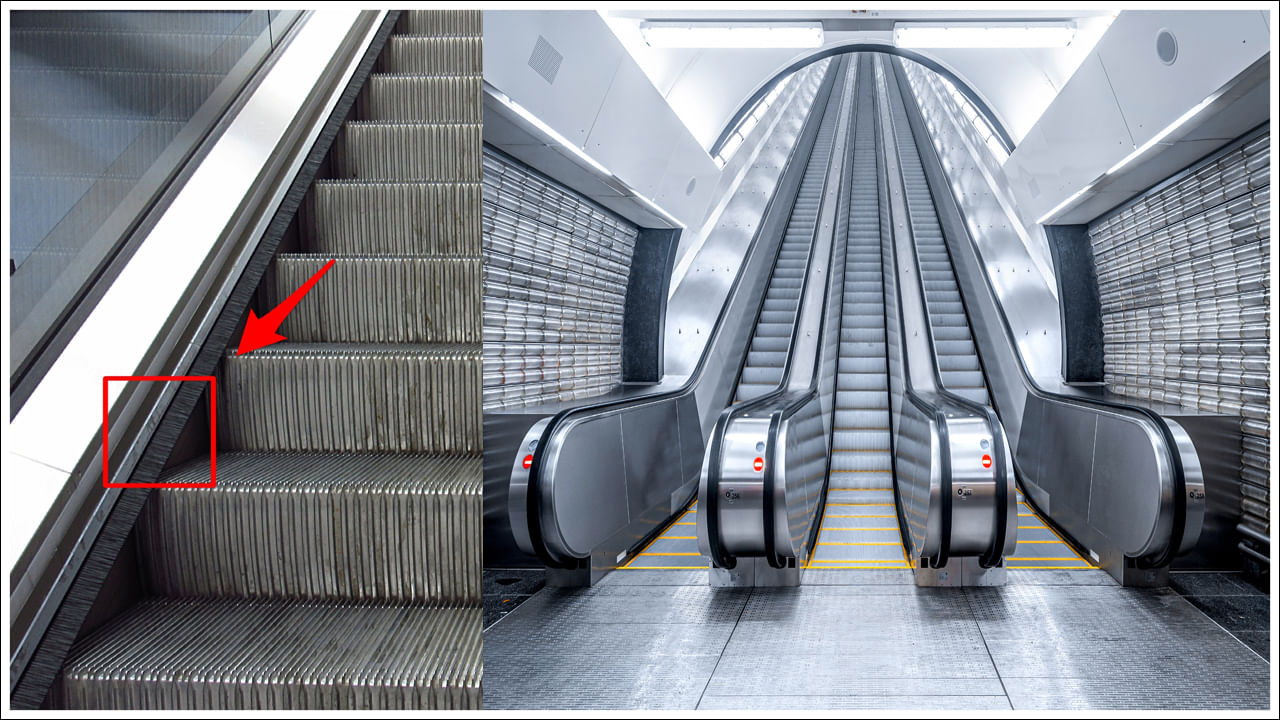 Escalators: షాపింగ్ మాల్స్‌, మెట్రో స్టేషన్‌లలో మీరు ఎస్కలేటర్లు చూసే ఉంటారు. ఇవి మెట్లు ఎక్కుకుండా సులభంగా వెళ్లేందుకు ఉపయోగపడతాయన్న విషయం అందరికి తెలిసిందే. అయితే ఎస్కలేటర్లలో ఓ విషయాన్ని మీరు గమనించారా? ఈ ఎస్కటేర్లకు రెండు వైపులా బ్రష్‌లు ఉంటాయి. ఇవి ఎందుకు ఉంటాయోనని మీరెప్పుడైనా గమనించారా? చాలా మంది ఈ బ్రష్‌లు షూలు శ్రభంగా ఉండేందుకు అని అనుకుంటారు. కానీ అది తప్పు. అందుకు వేరే కారణం ఉంది.