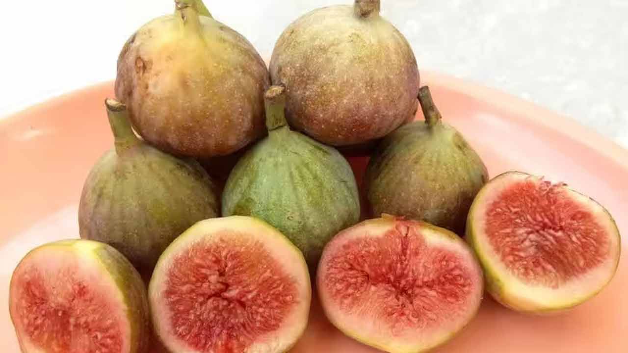 కాలేయ సంబంధిత సమస్యలు ఉన్నవారు అంజీర్ పండ్లను తినకూడదు. లేకపోతే, అది కాలేయ ఒత్తిడిని పెంచుతుంది. అందుకే కాలేయ వ్యాధితో బాధపడుతున్న రోగులు పొరపాటున కూడా అంజీర్‌ పండ్లను తినకూడదు. ఒకవేళ తింటే అవి కాలేయ పనితీరును నెమ్మదిస్తాయి. దీంతో అనేక రోగాల బారిన పడే అవకాశం ఉందని అంటున్నారు. 