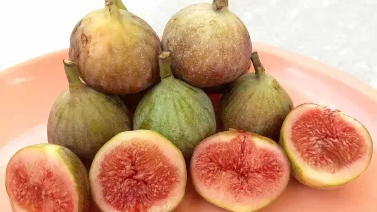 కాలేయ సంబంధిత సమస్యలు ఉన్నవారు అంజీర్ పండ్లను తినకూడదు. లేకపోతే, అది కాలేయ ఒత్తిడిని పెంచుతుంది. అందుకే కాలేయ వ్యాధితో బాధపడుతున్న రోగులు పొరపాటున కూడా అంజీర్ పండ్లను తినకూడదు. ఒకవేళ తింటే అవి కాలేయ పనితీరును నెమ్మదిస్తాయి. దీంతో అనేక రోగాల బారిన పడే అవకాశం ఉందని అంటున్నారు.