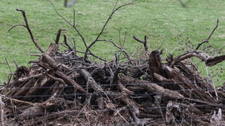 Viral: పిల్లాడికి మంచం కింద కనిపించిన ఏదో నల్లటి ఆకారం.. ఏంటా అని చూడగా.. అమ్మబాబోయ్!