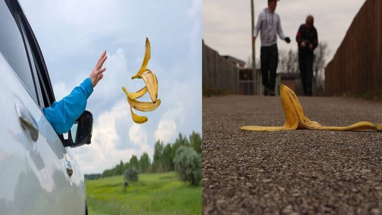 Fruit Peels: ప్రతి తొక్కకి ఒకరోజు వస్తుందంటే ఇదేనేమో..! పొరబాటున పడేశారో ఆస్తులన్నీ ఆమ్ముకోవాల్సిందే..