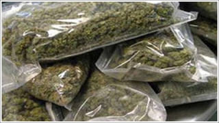 కవ్వాల్ కిలకిలలు.. వలసొస్తున్న విదేశీ పక్షులు! ఆకట్టుకుంటున్న బర్డ్ ఫెస్టివల్