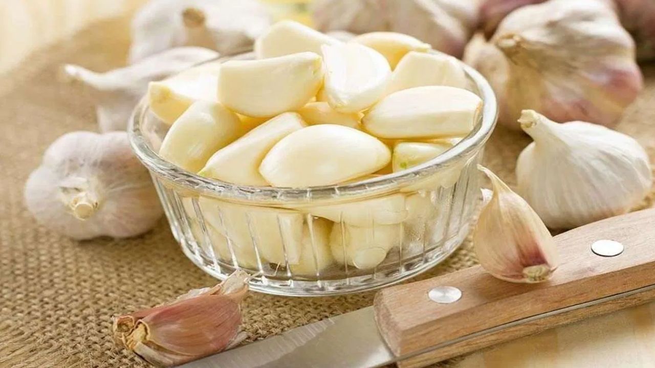 Garlic Health Benefits