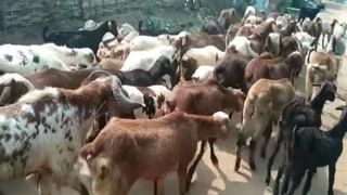 ఆవిర్భావ సభ అదిరిపోవాలంటున్న జనసేన.. ఇంతకు సభ ఎక్కడ…? ఎప్పుడు…?