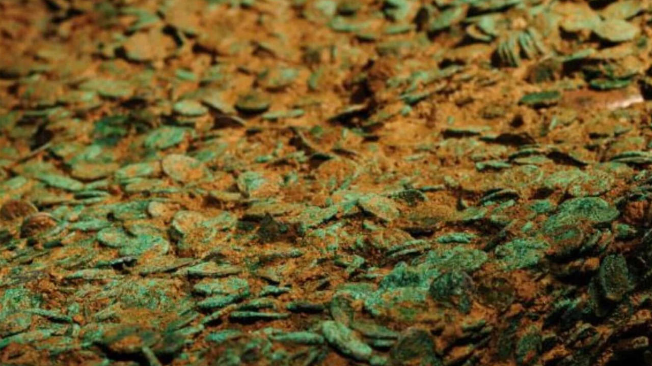 Viral: సముద్రపు ఒడ్డున తవ్వకాల్లో.. బయటపడినవి చూడగా ఆశ్చర్యం.. కళ్లు జిగేల్‌