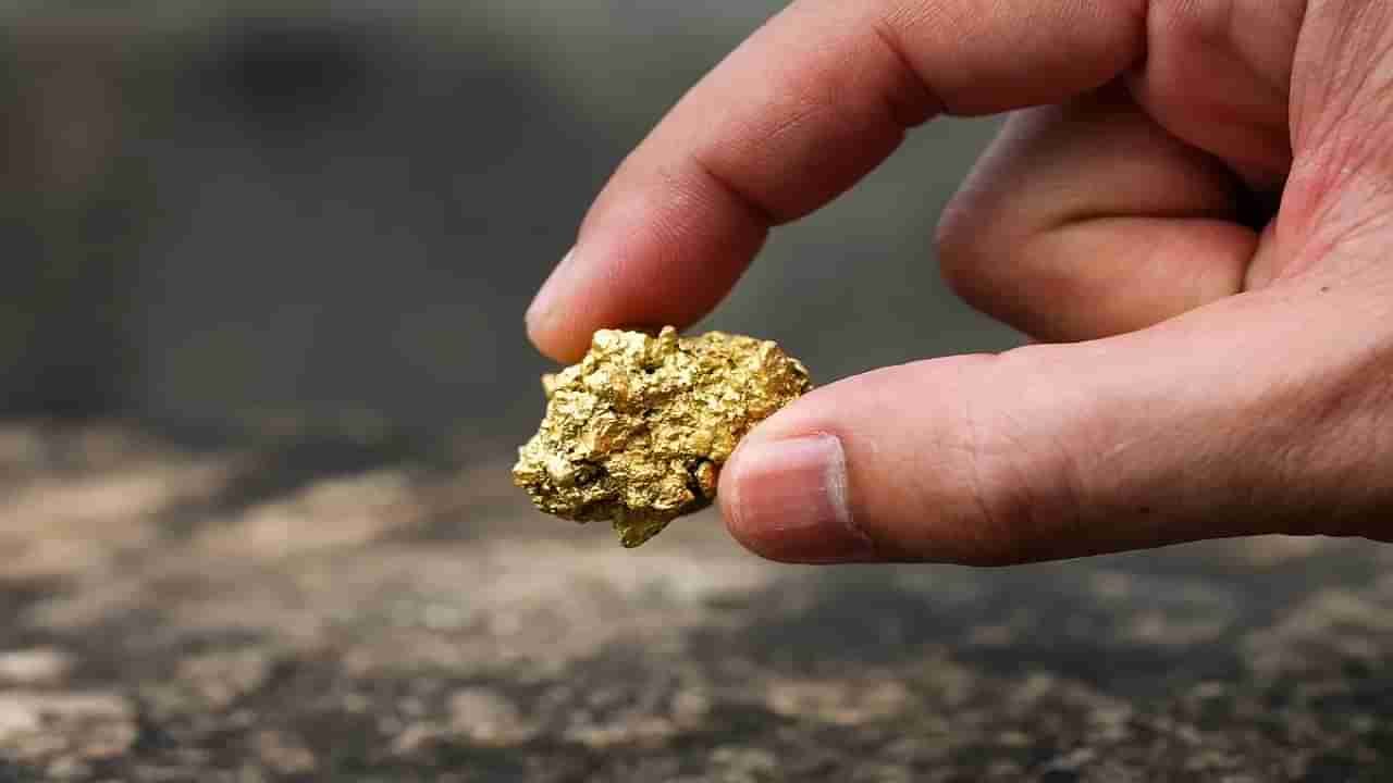 Gold Detection: బంగారు నిల్వలను ఎలా తనిఖీ చేస్తారో తెలుసా? నిపుణులు పాటించే పద్ధతులు ఇవే..!