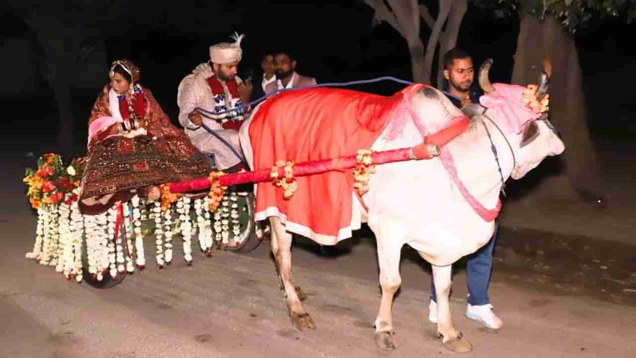 వధువును ఎడ్ల బండిపై సాగనంపిన తల్లిదండ్రులు.. వరుడికి కానుకగా ఏం ఇచ్చారంటే..!