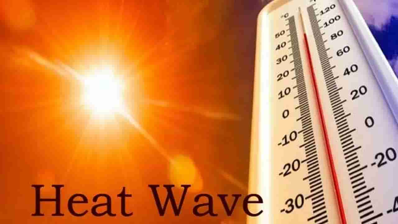 Heat Wave Alert: నేడు మాడు పగిలే ఎండలు.. విపత్తు నిర్వహణ సంస్థ హెచ్చరికలు జారీ!