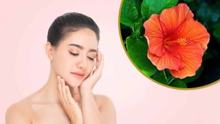 బాబోయ్.. రోజు ముక్క పచ్చి కొబ్బరి తింటే ఎన్ని లాభాలో తెలుసా..? ఈ ప్రయోజనాలు తెలిస్తే..