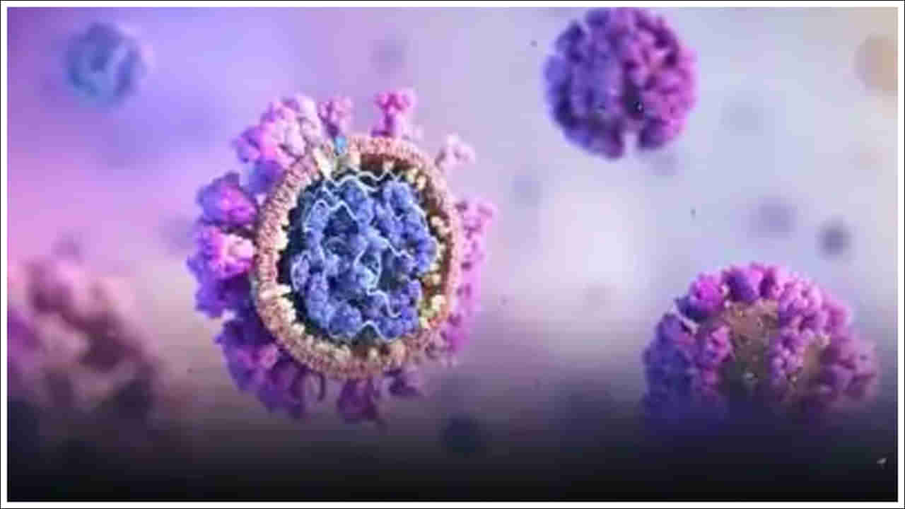 New Virus: వామ్మో.. మరో కొత్త వైరస్ వచ్చేసింది.. కోల్‌కతా మహిళకు పాజిటివ్‌.. లక్షణాలు ఎలా ఉంటాయంటే..