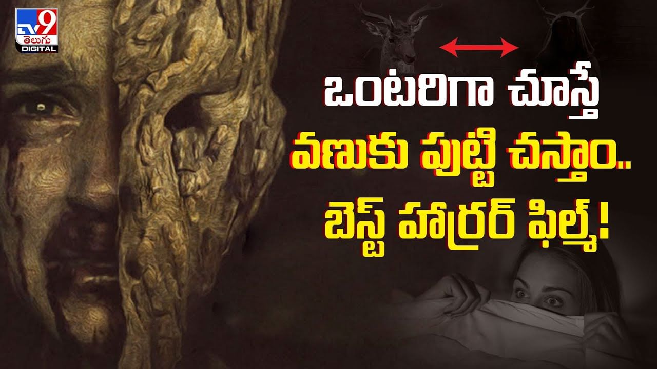 ఒంటరిగా చూస్తే వణుకు పుట్టి చస్తాం.. బెస్ట్ హార్రర్ ఫిల్మ్‌!