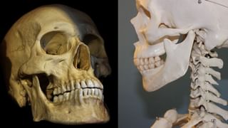 Kamala Harris: కాలిఫోర్నియా గవర్నర్ రేసులో కమలా హారిస్‌..? పోటీపై ఆమె ఏమన్నారంటే..