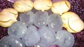 పిల్లలు, పెద్దలు ఇష్టంగా తినే రాగి లడ్డూ రెసిపీ మీకోసం..! ప్రతి రోజూ తింటే ఆరోగ్యానికి మస్త్ బెనిఫిట్స్..!